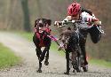 Rastede 08 - 0416.jpg