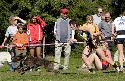 Svycarsko 05 - 0873.jpg