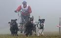 MR Tri studne - 159.jpg