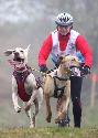 Tri studne podzim 08 - 403.jpg