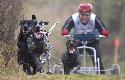 Tri studne podzim 08 - 468.jpg